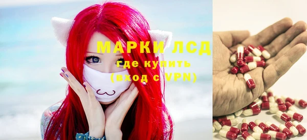 хмурый Абаза