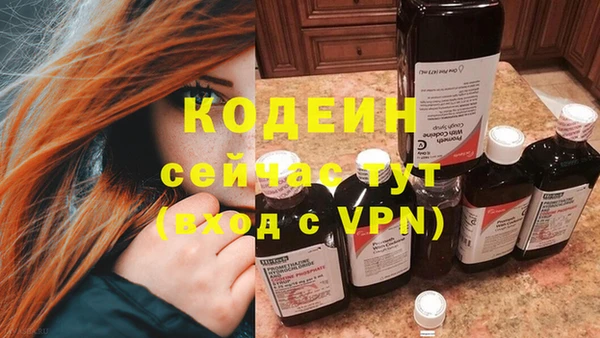 хмурый Абаза