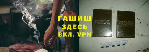 хмурый Абаза