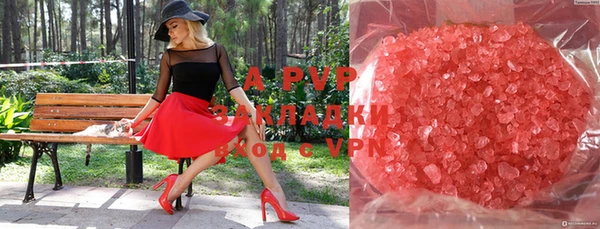 хмурый Абаза