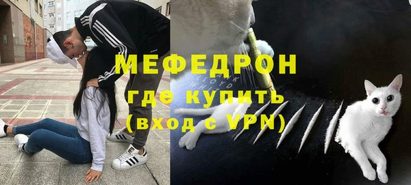 стаф Магас