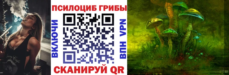 Псилоцибиновые грибы Psilocybine cubensis  купить наркотики сайты  Щёкино 